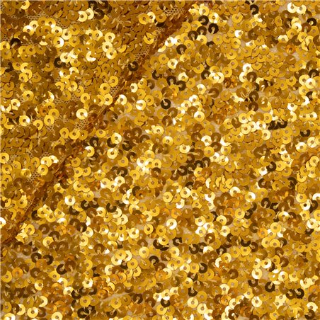 Paillettes Elastica Margot