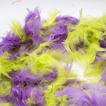 Boa Unito / Multicolor