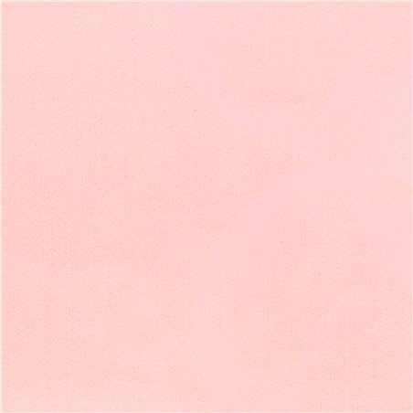 Feltro Colorato 2 mm