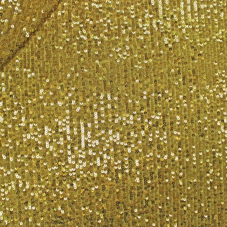 Paillettes Elastica Hollywood