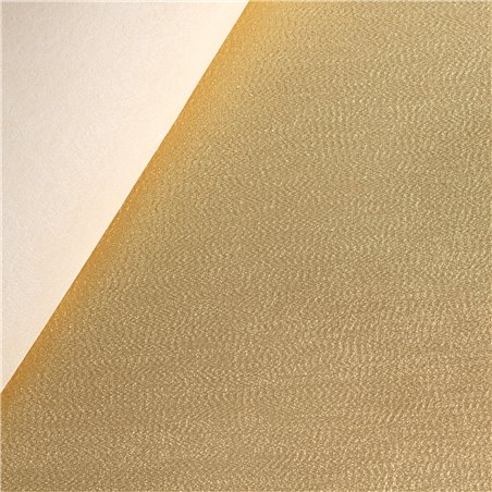 Spugnetta Lame' Spiralato