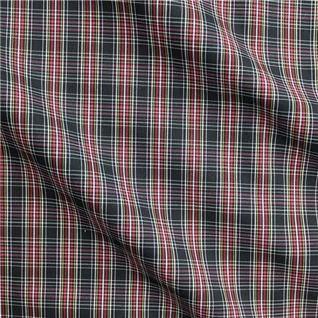 Camiceria Coventry Stretch