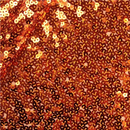 Paillettes Elastica Margot