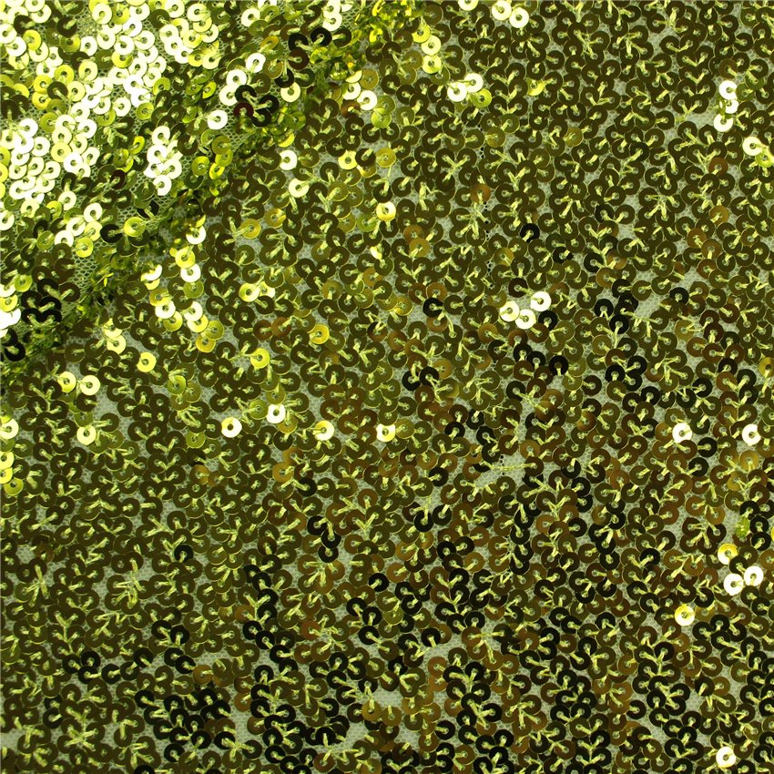 Paillettes Elastica Margot