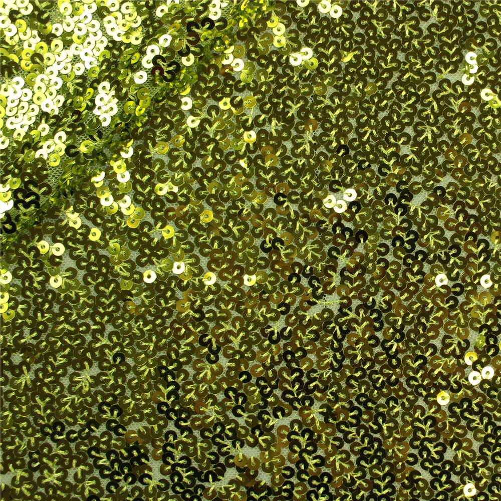 Paillettes Elastica Margot