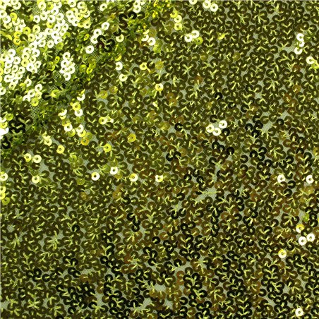 Paillettes Elastica Margot