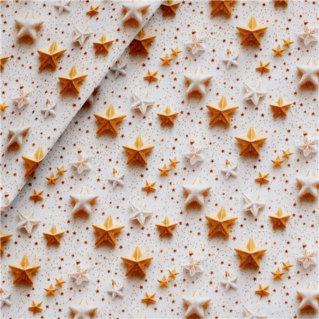 Cotone Stampato Magic Xmas